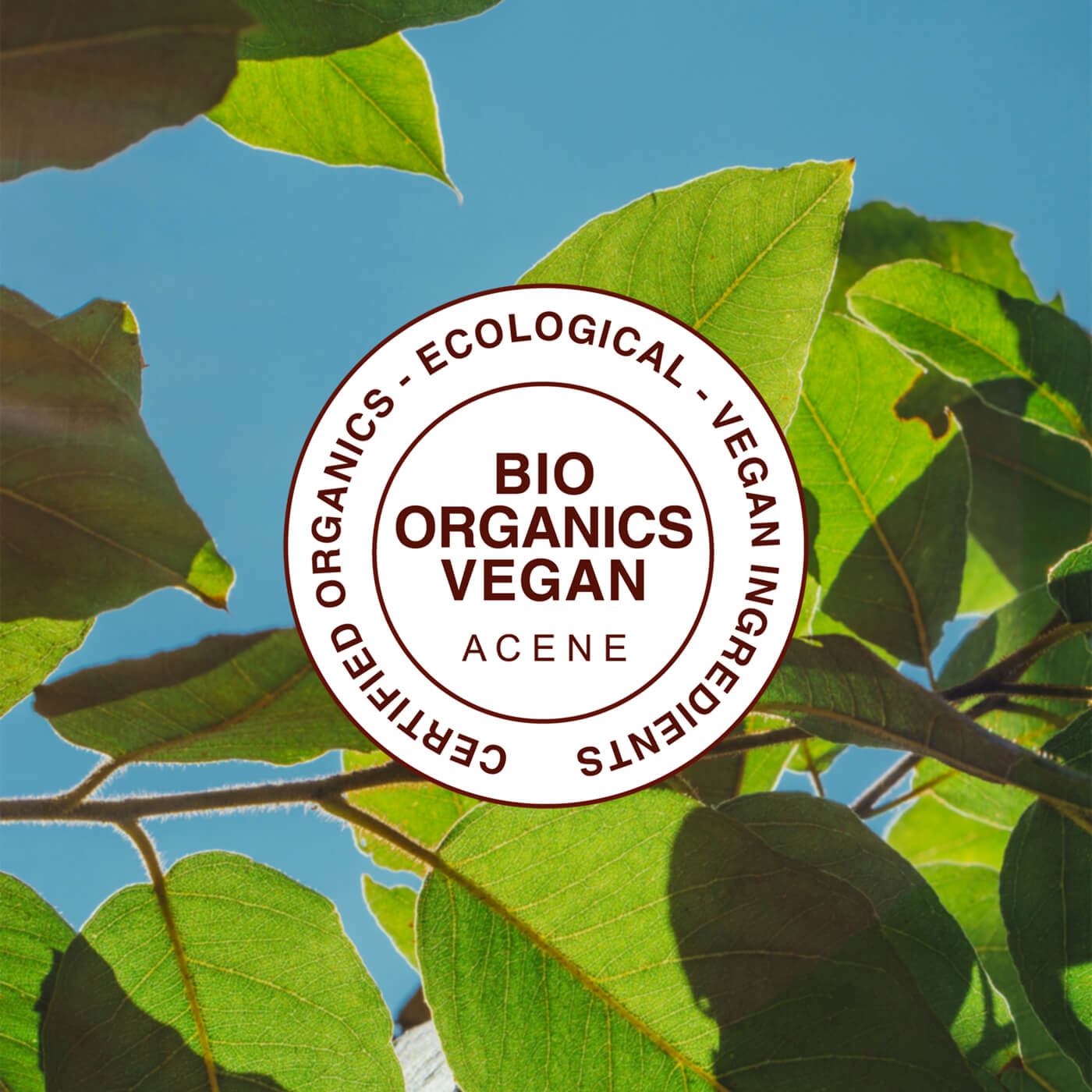 ACENE certification for organic and vegan cosmetics, applicable to the serum and day cream.